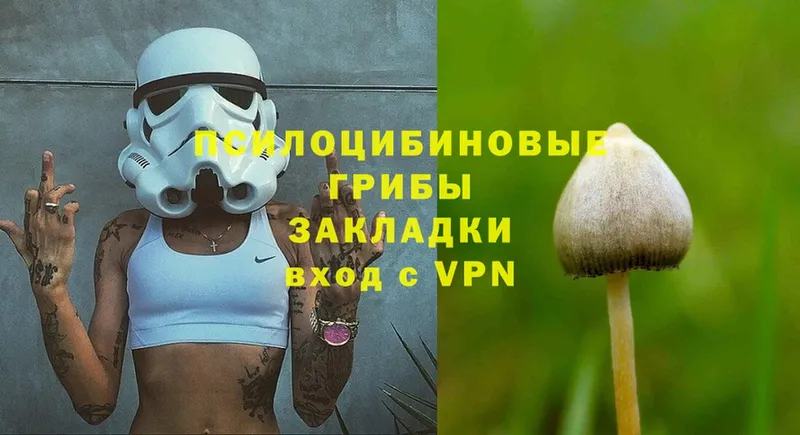 omg маркетплейс  Нестеров  Псилоцибиновые грибы Cubensis 